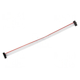 Cablu de Conectare IDC10 150mm | Electronic-mag.ro | Componente Electronice