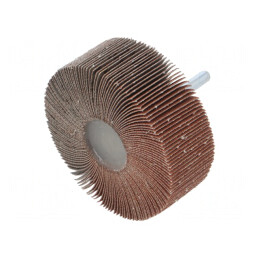 Ax Granularitate 120 cu Tijă 6mm și Ax Ø80x30mm | Electronic-mag.ro | Componente Electronice