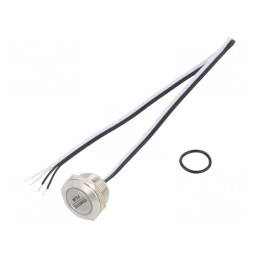 Comutator Anti-vandalism IP65 Ø19mm 50mA 24V | Electronic-mag.ro | Componente Electronice