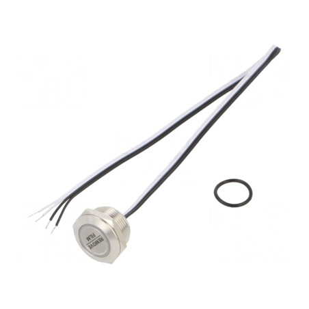 Comutator Anti-vandalism IP65 Ø19mm 50mA 24V | Electronic-mag.ro | Componente Electronice