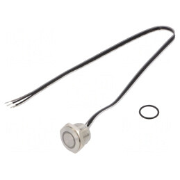 Comutator Anti-Vandalism 2 Pozitii SPST-NO 50mA 24VDC IP65 16mm | Electronic-mag.ro | Componente Electronice