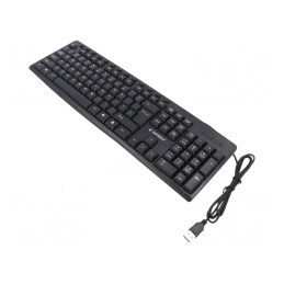 Tastatură USB Neagră 1,2m US Layout | Electronic-mag.ro | Componente Electronice