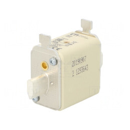 Siguranță ceramică industrială gG 50A 500VAC NH00 | Electronic-mag.ro | Componente Electronice