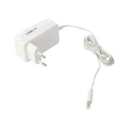 Alimentator Pulsatoriu 24VDC 1A 24W | Electronic-mag.ro | Componente Electronice