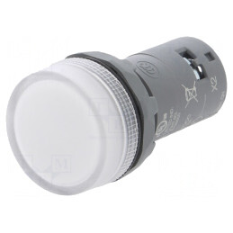 Control Luminos LED Ø22mm 48-60VAC