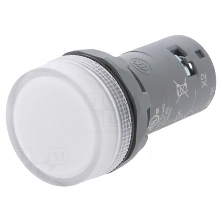 Control Luminos LED Ø22mm 48-60VAC | Electronic-mag.ro | Componente Electronice
