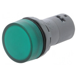 Lumină de control LED 22mm 48-60VAC | Electronic-mag.ro | Componente Electronice