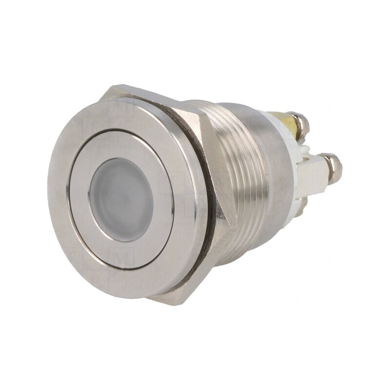 Comutator Anti-Vandalism SPST-NO 0,5A/220VAC 2A/36VDC | Electronic-mag.ro | Componente Electronice