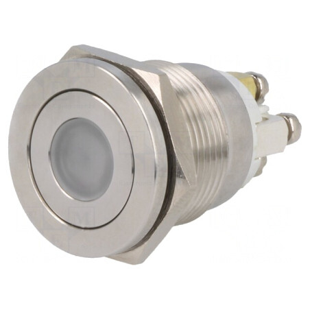 Comutator Anti-Vandalism SPST-NO 0,5A/220VAC 2A/36VDC | Electronic-mag.ro | Componente Electronice