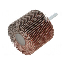 Ax Granularitate 120 cu Tijă 6mm și Ax Ø60x50mm | Electronic-mag.ro | Componente Electronice