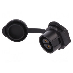 Conector Circular Soclu 2 PIN Aurit | Electronic-mag.ro | Componente Electronice