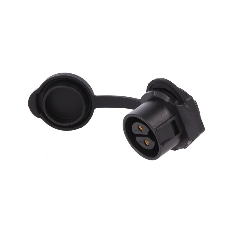 Conector Circular Soclu 2 PIN Aurit | Electronic-mag.ro | Componente Electronice Conector Circular Soclu 2 PIN Aurit | Electronic-mag.ro | Componente Electronice