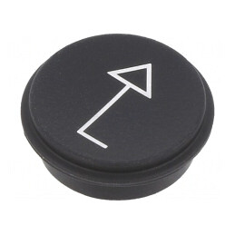 Tastă Neagră Rotundă Ø21mm | Electronic-mag.ro | Componente Electronice