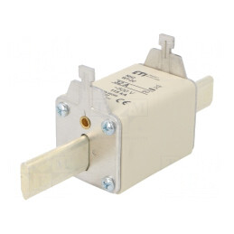 Siguranță Ceramică Industrială gG 32A 500VAC NH2C | Electronic-mag.ro | Componente Electronice