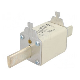 Siguranță Ceramică Industrială gG 50A 500VAC NH2C | Electronic-mag.ro | Componente Electronice