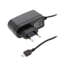 Alimentator 5V 2A 10W Ştecher EU | Electronic-mag.ro | Componente Electronice