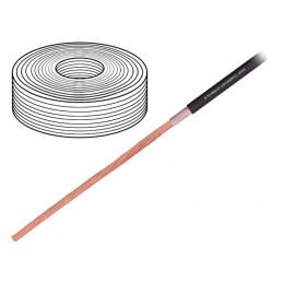 Cablu Chainflex CF300.UL.D 1x10mm2 Negru pentru Motor | Electronic-mag.ro | Componente Electronice