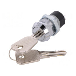 Întrerupător cu Cheie DPST 90° | Electronic-mag.ro | Componente Electronice