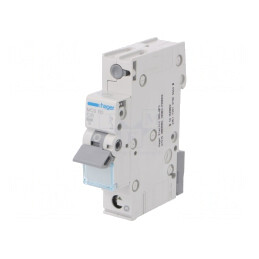 Întrerupător Supracurent 10A 1P 6kA 230/400V | Electronic-mag.ro | Componente Electronice