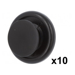 Set 10 Dibluuri Poliamidă 8mm pentru Citroën, Lexus, Peugeot, Toyota | Electronic-mag.ro | Componente Electronice