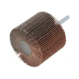 Ax Granularitate 80 cu Tijă 6mm și Ax 60x50mm | Electronic-mag.ro | Componente Electronice