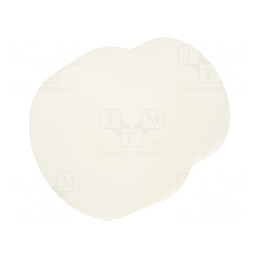 Cap Ciocan Rotund Poliamidă 30mm | Electronic-mag.ro | Componente Electronice
