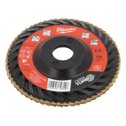 Disc de șlefuit cu lambouri 125mm 22,2mm | Electronic-mag.ro | Componente Electronice