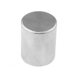Magnet Neodim Fix 20mm 60N Otel | Electronic-mag.ro | Componente Electronice