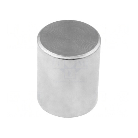 Magnet Neodim Fix 20mm 60N Otel | Electronic-mag.ro | Componente Electronice