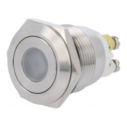Comutator Anti-Vandalism 2 Poz SPST-NO 0.5A/220VAC 2A/36VDC | Electronic-mag.ro | Componente Electronice