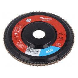 Disc de Șlefuit cu Lambouri 125mm 22,2mm | Electronic-mag.ro | Componente Electronice