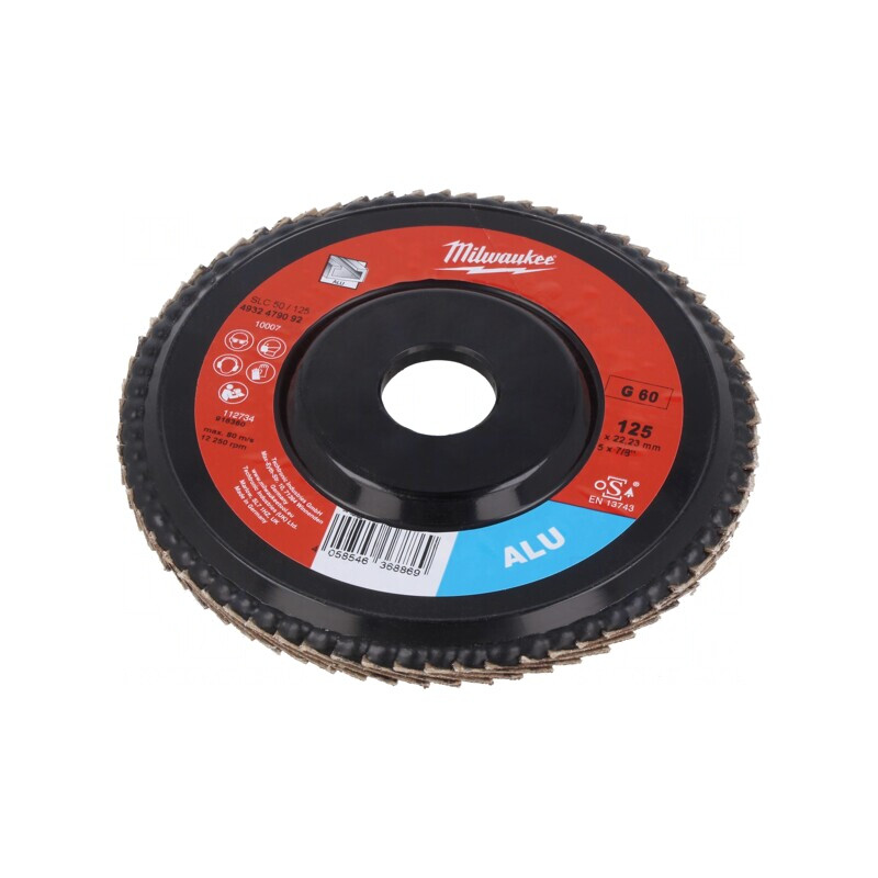 Disc de Șlefuit cu Lambouri 125mm 22,2mm | Electronic-mag.ro | Componente Electronice