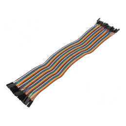 Cablu Conectare 300mm 40 PIN Colorat