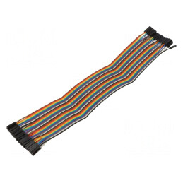 Cablu Conectare 300mm Mamă-Mamă 40 PIN Culori Multiple | Electronic-mag.ro | Componente Electronice