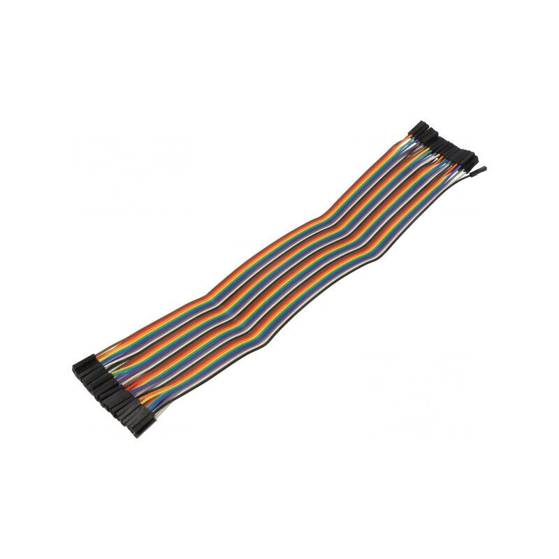 Cablu Conectare 300mm Mamă-Mamă 40 PIN Culori Multiple | Electronic-mag.ro | Componente Electronice