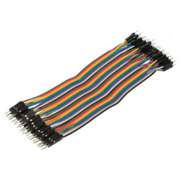 Cablu Conectare 150mm Tată-Tată 40 PIN Colorat | Electronic-mag.ro | Componente Electronice