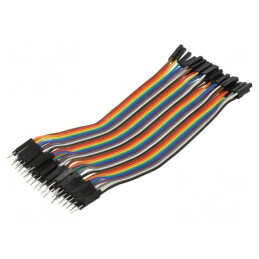 Cablu de Conectare 150mm Tată-Mamă 40 PIN Multicolor | Electronic-mag.ro | Componente Electronice