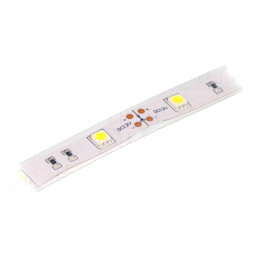 Bandă LED Alb Rece 12V IP65 | Electronic-mag.ro | Componente Electronice