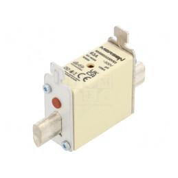 Siguranță ceramică industrială gG 63A 500VAC 250VDC | Electronic-mag.ro | Componente Electronice