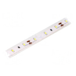 Bandă LED alb rece 12V IP65 6W/m | Electronic-mag.ro | Componente Electronice