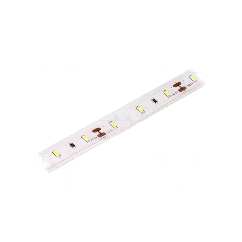 Bandă LED alb rece 12V IP65 6W/m | Electronic-mag.ro | Componente Electronice