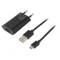 Alimentator 5VDC 5W cu Ştecher EU | Electronic-mag.ro | Componente Electronice
