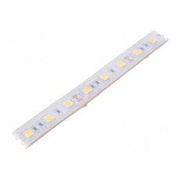 Bandă LED Alb Neutru 12V IP65 | Electronic-mag.ro | Componente Electronice