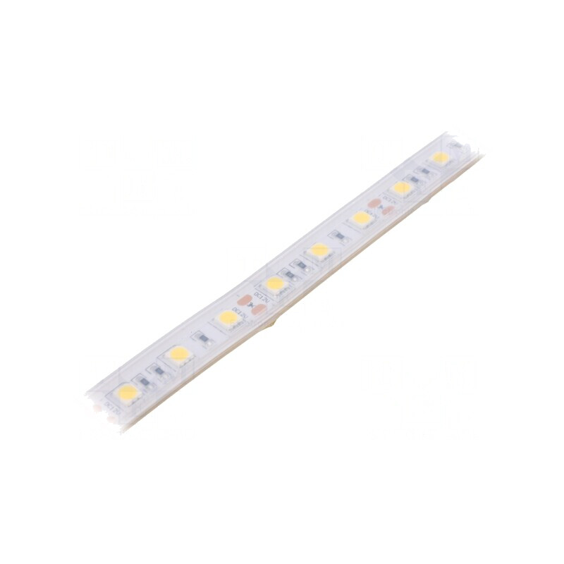 Bandă LED Alb Neutru 12V IP65 | Electronic-mag.ro | Componente Electronice