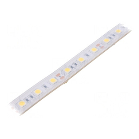 Bandă LED Alb Neutru 12V IP65 | Electronic-mag.ro | Componente Electronice
