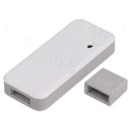 Carcasă USB 25x58x10mm Gri Deschis TEK-BERRY | Electronic-mag.ro | Componente Electronice