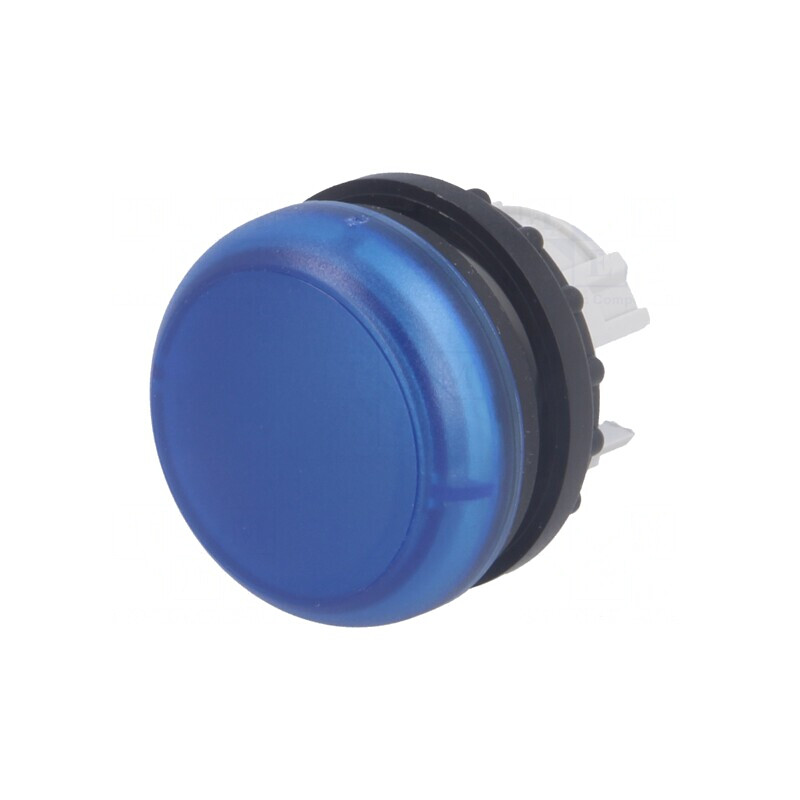 Lumină de Control 22mm RMQ-Titan IP67 | Electronic-mag.ro | Componente Electronice