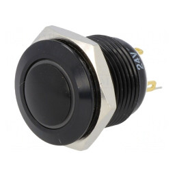 Comutator Anti-Vandalism SPST-NO 2A 24V IP65 | Electronic-mag.ro | Componente Electronice