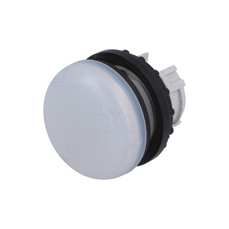 Lumină de Control LED 22mm RMQ-Titan IP67 | Electronic-mag.ro | Componente Electronice