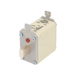 Siguranță industrială gG 160A 500VAC NH00 | Electronic-mag.ro | Componente Electronice